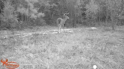 Ioeip3gjjlx Znfh4ilxz Bnqd3hzhutmx_llvmutnu