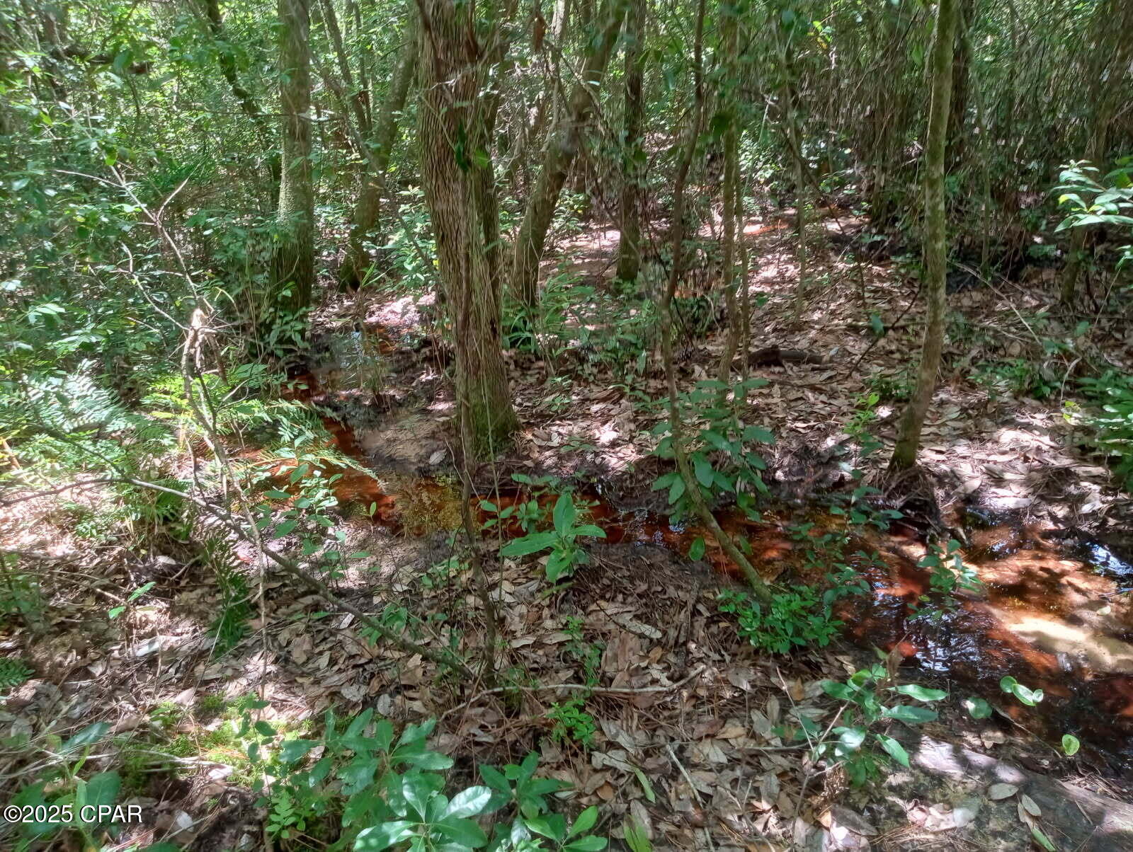 Gbxja6alymbikpu Zlpsrxgqokdsm8jbhl7uzp4p 1q