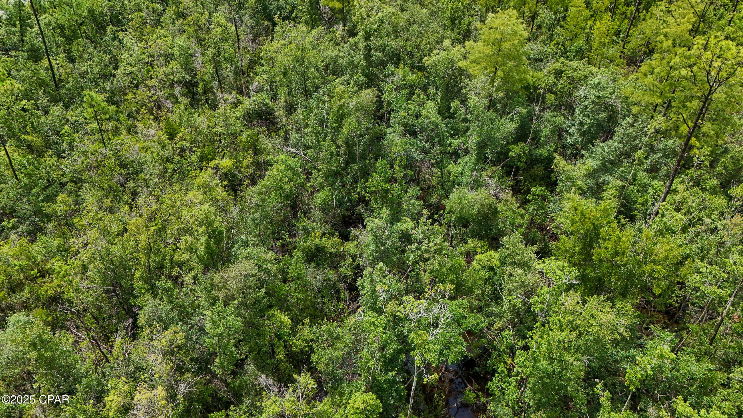 Btrbzv1ijbexkqebt3odgyxdjoa7kok1ztdppdjvliw