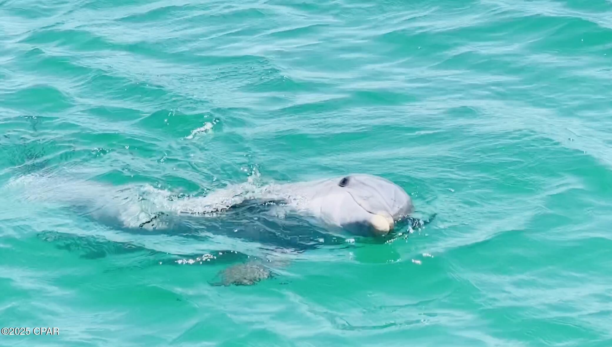 Qsazyg3bwwlxiptqh8ipixkeb_3f4vy_eeu2nlotoci