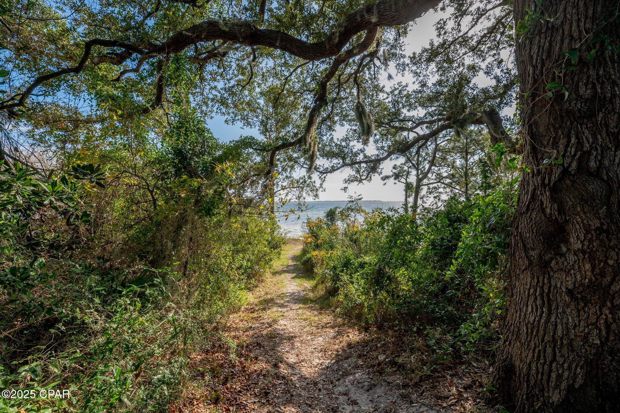 Ue6_wjnnfwb16tslbpgzj1auddmcqpfx54wi9cepr0y