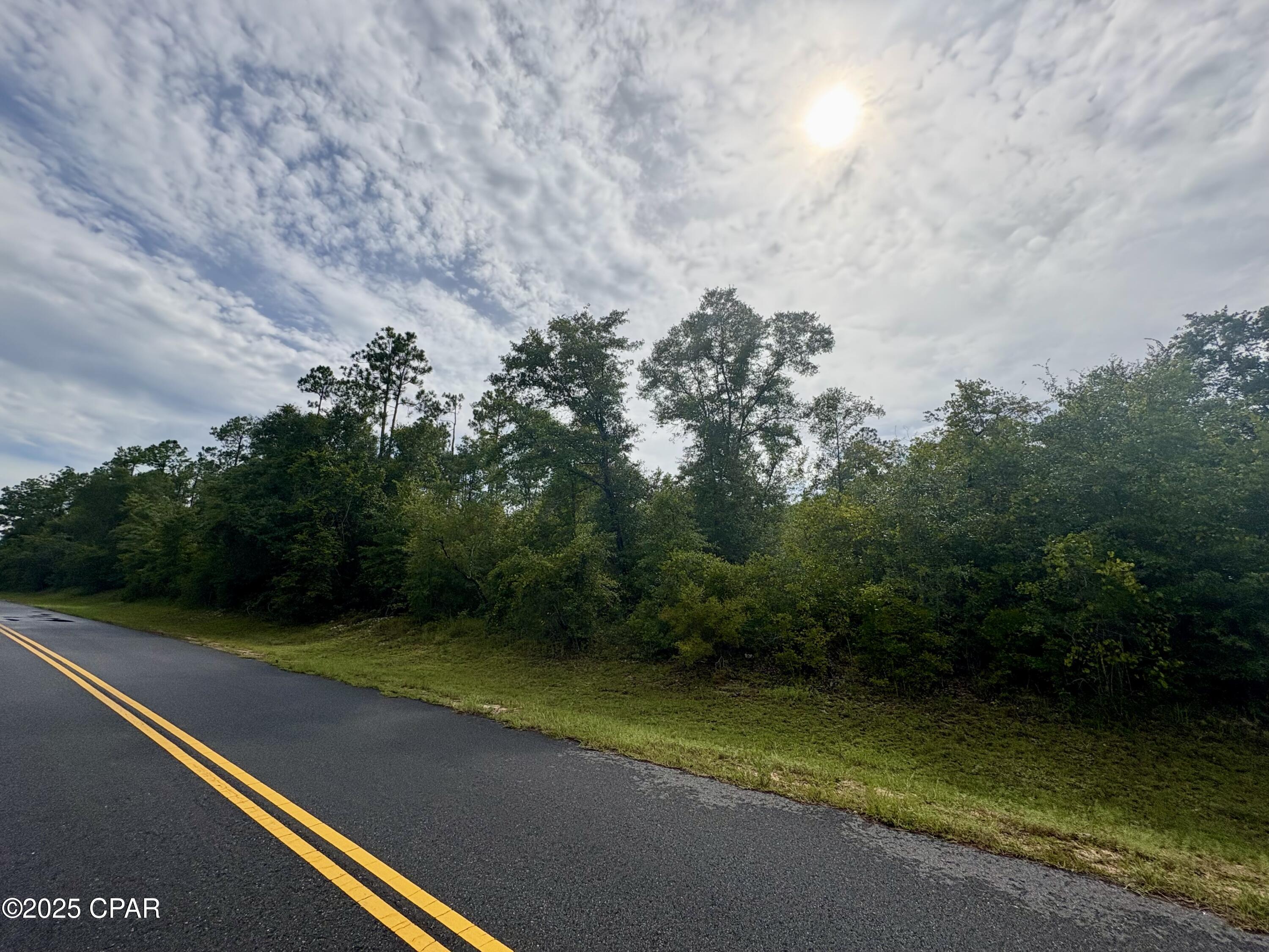 Details for Lot 8 View Drive, Alford, FL 32420