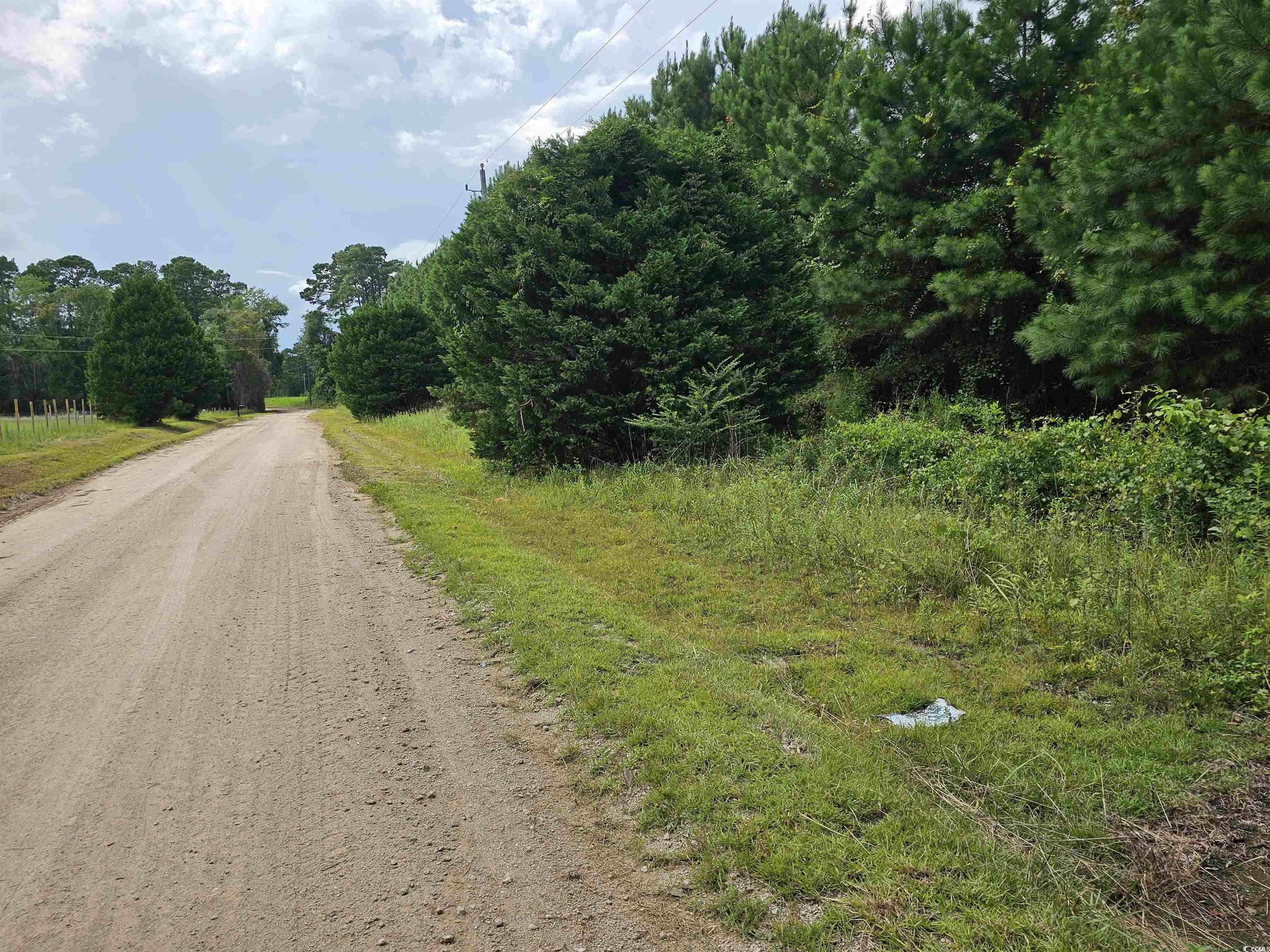 TBD Powell Lane Loris, SC 29569