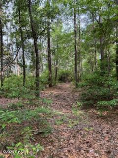 7a5cam2uq6ez8wjdmxmqomsplsmp24ycbh3tql Cue4