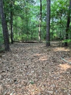 W2ocaamv7hitbgagy0loedaphvvea4cqyrxthmgbtzy