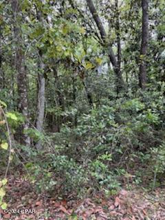 Dax28ikhzd2p2mmuoy4evunftuhkqzwbyheb_zc57ne