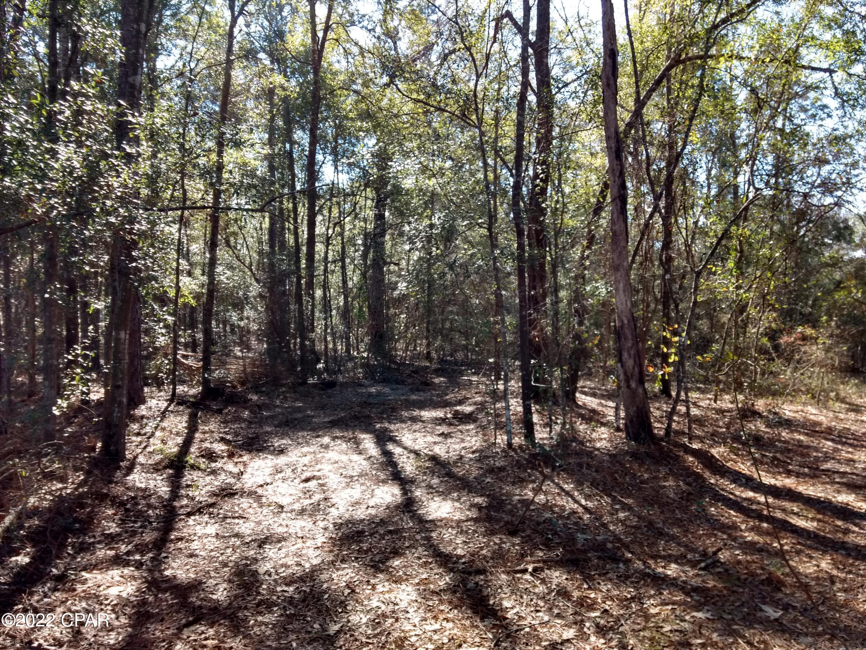 5spspm5rdznh9sv_ocppxzrmjf61cpvkhzwup1bdevy