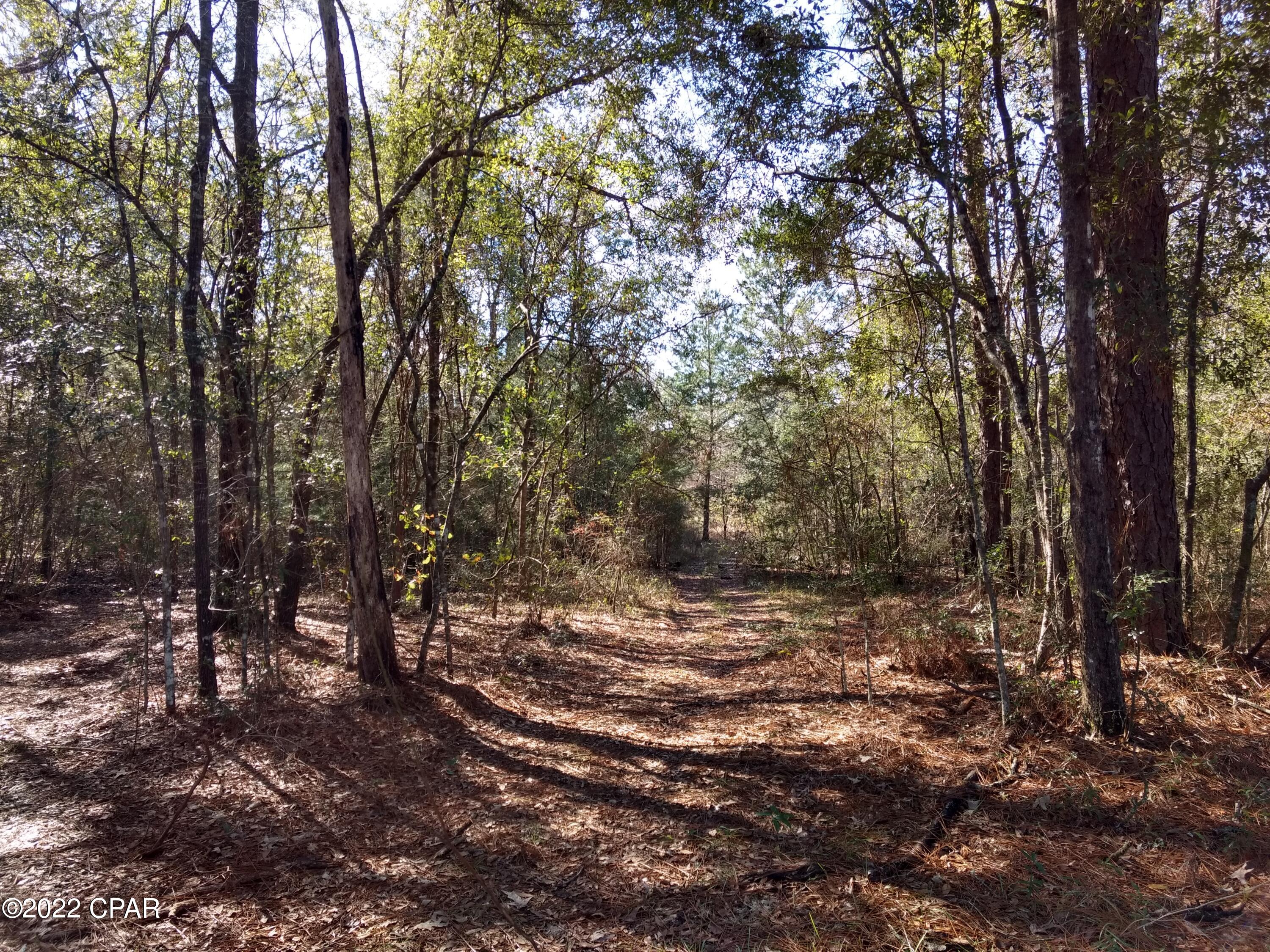 Tn Sa Bhnxsluvswpw1xel9qci90lttnnx0qg50jov0