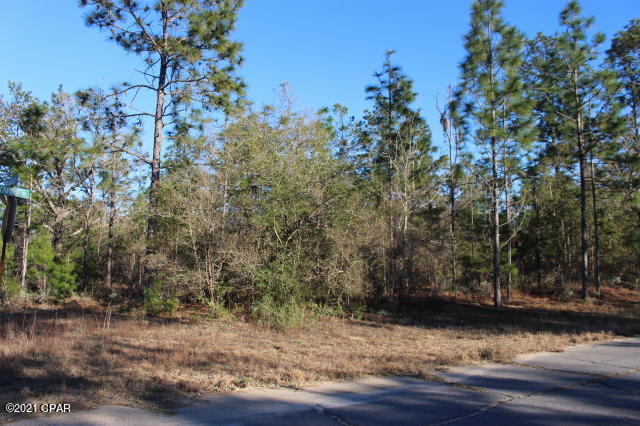 Image 6 For 0 Rockford Drive Lot 5