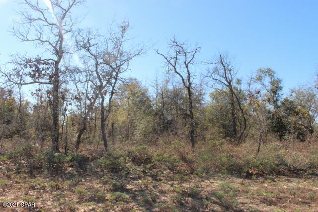 Details for 0 Dumont Avenue Lot 5, Chipley, FL 32428