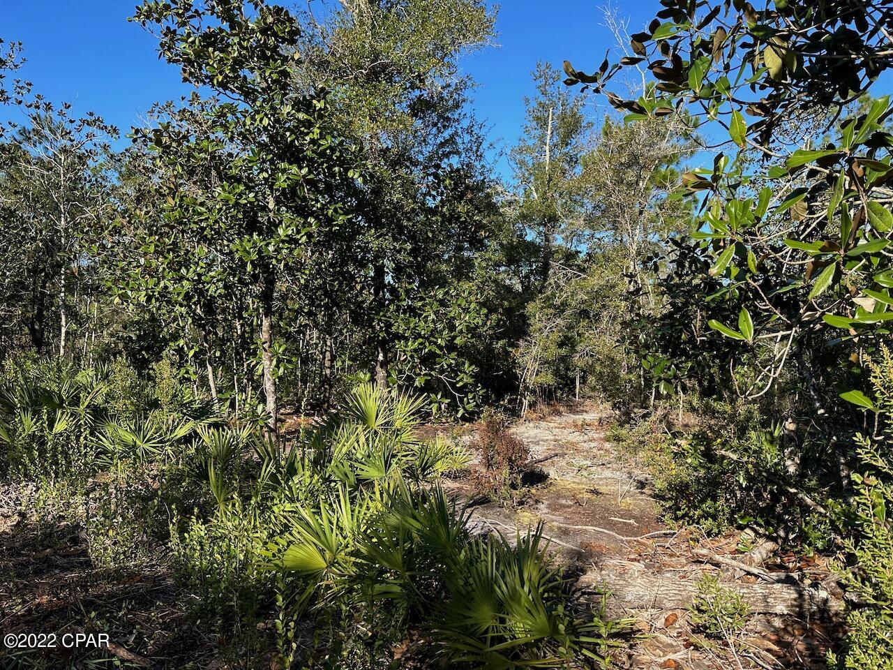 Ouqkjikrtxxylqv1dipgjpdsrfrqyg7i2dumwbd_n6w