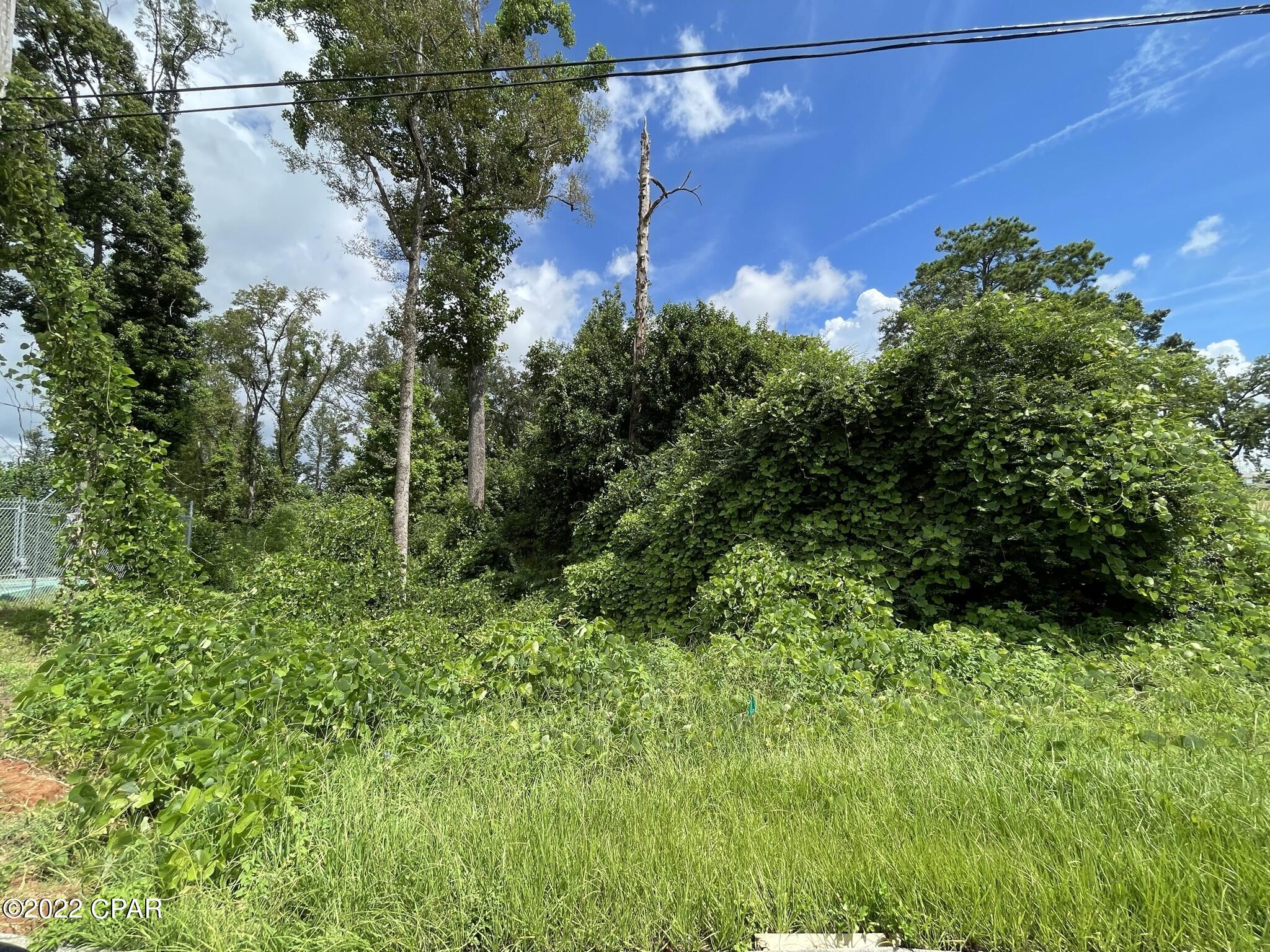 X Nlcxvxsiu_91bg34d6xpk4omuf6bv 3_sviwnpnio