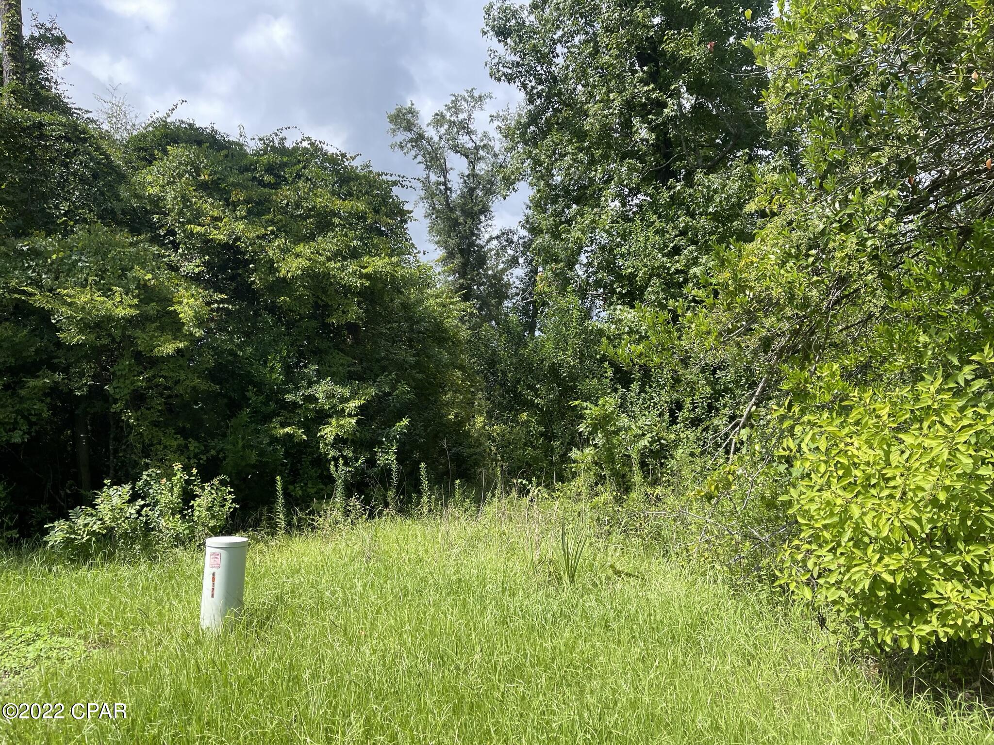 Zi8xg3kvbvfsqayqw 1x Wruecxmug2agzdscn3cr E