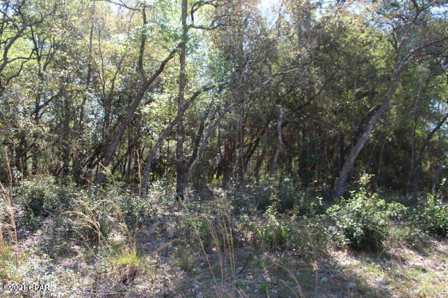 Bjmeqwkismrfkk73fc7foi5duuorvbxyxyhyp_ju  M