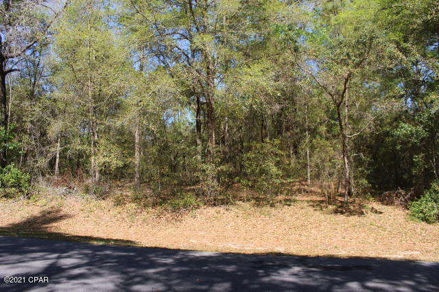 Details for 2905 Gardenia Drive, Citrus Springs, FL 34434