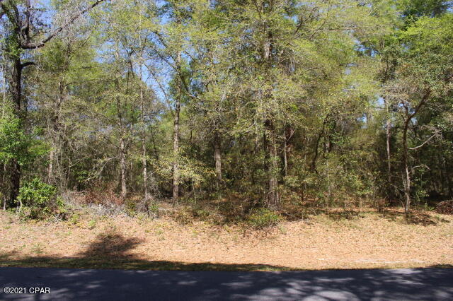 Image 6 For 2905 Gardenia Drive