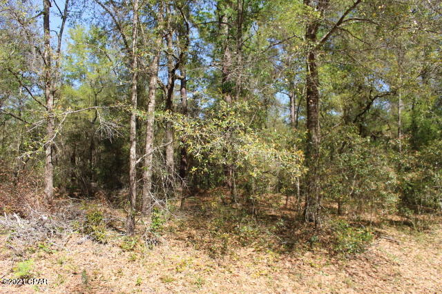 Geoctgogugpvf Xqjs Cupzo5cfkw_1bjzxxxekasxm