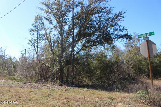 Image 1 For 0 Goodman Hill Road Lot 45