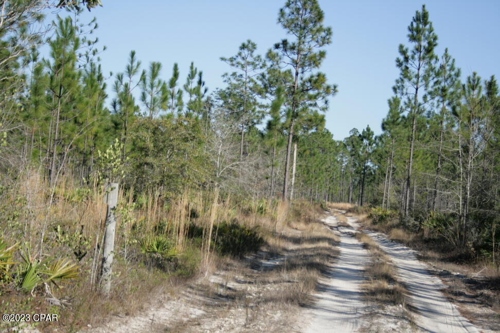 Xdlz02n3zxjpoylwyi5pxivrlxjpchzphn7lcpwsena