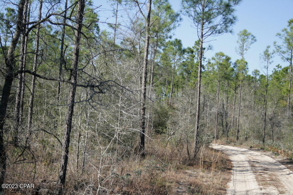 Sltvxqg8i_zaripafzjqxnxrhvfkn4vm4zulu 4w0u0