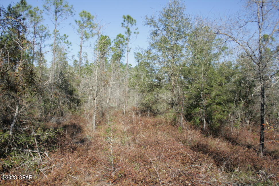 Kosx Keckosazclgtkbhd96icdnx0oznbjq9mjwggle