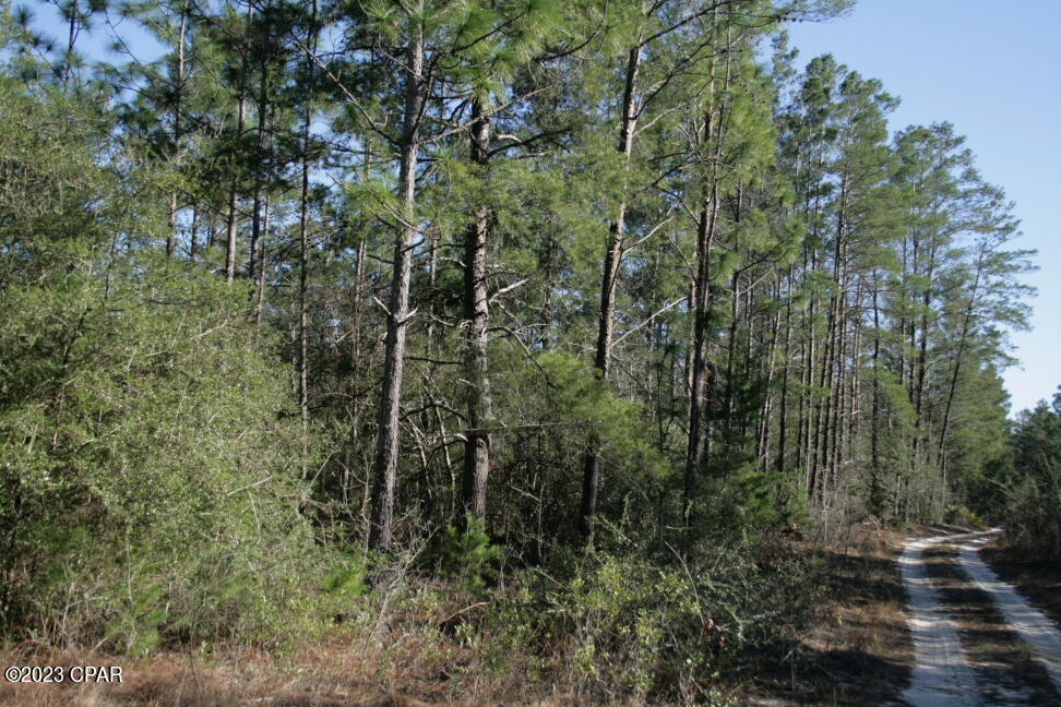 Le9ahshph_afgfpgdoffzb1kyhgslzjxwuhrkg03n14