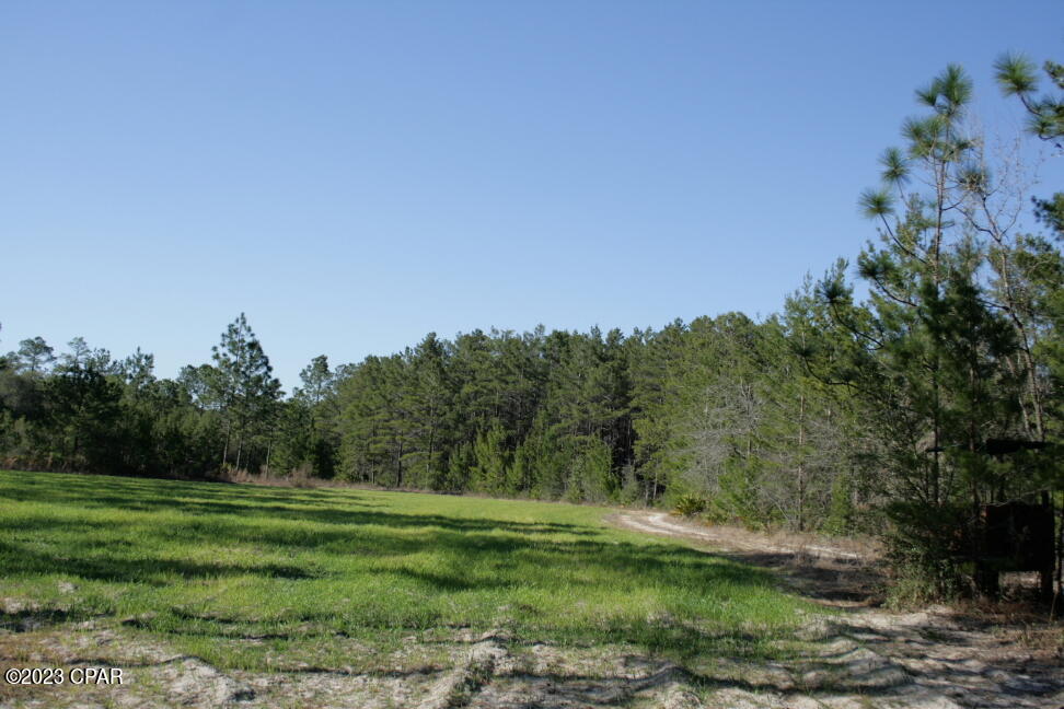 X9nt3ucbjdmlts7cylugt3mhtvoz2izzzjoa_itnnba