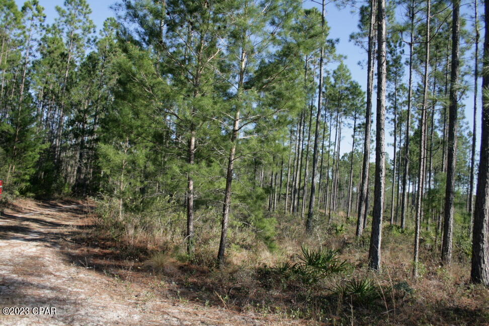 Wal6eltcic4xfngrd4awibtxdu_uilcthi7atmvvrdc