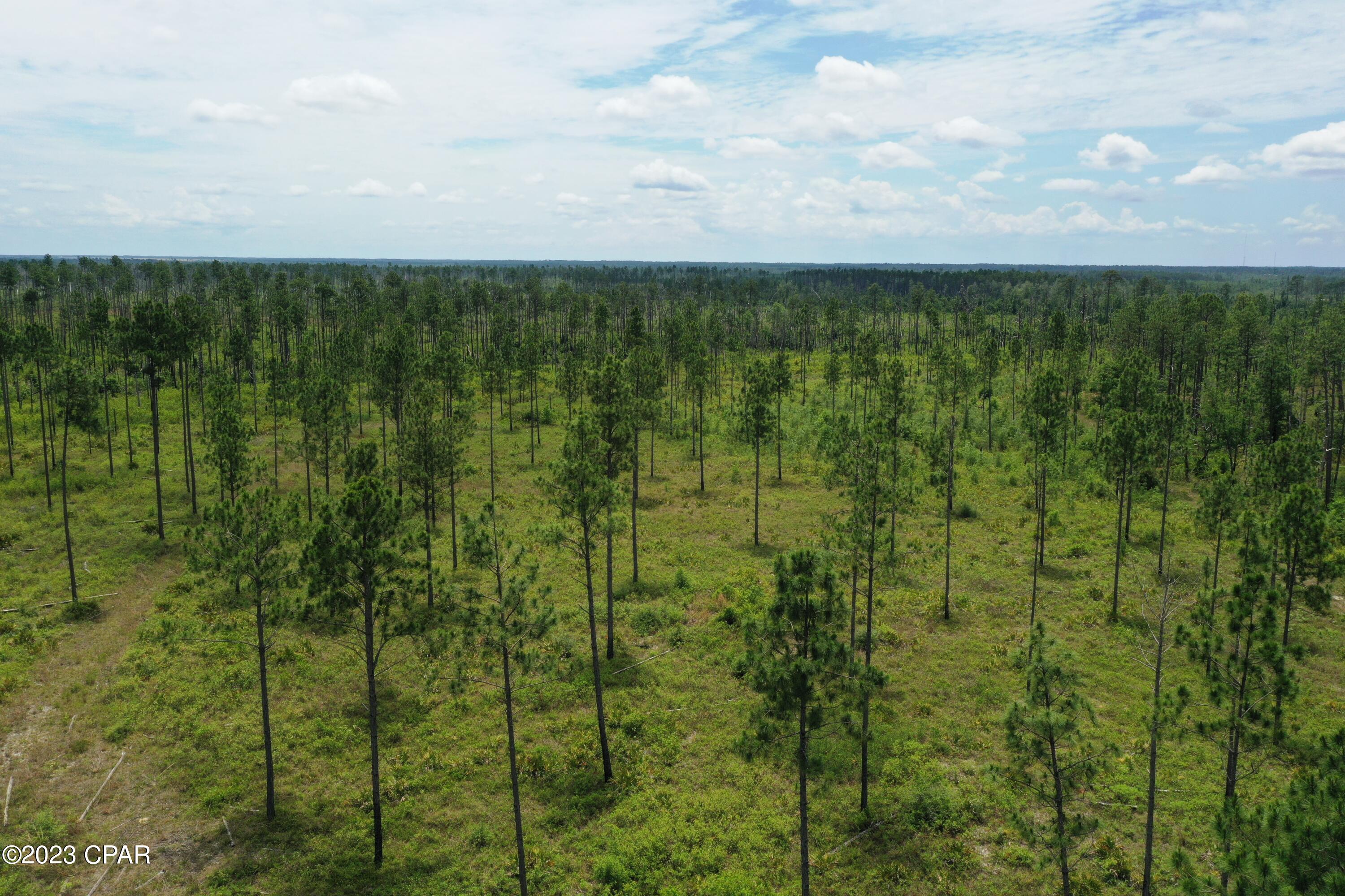 T4agnrpyperrynbm7xg1wvcqwwcmt9wljfawxto4_9w