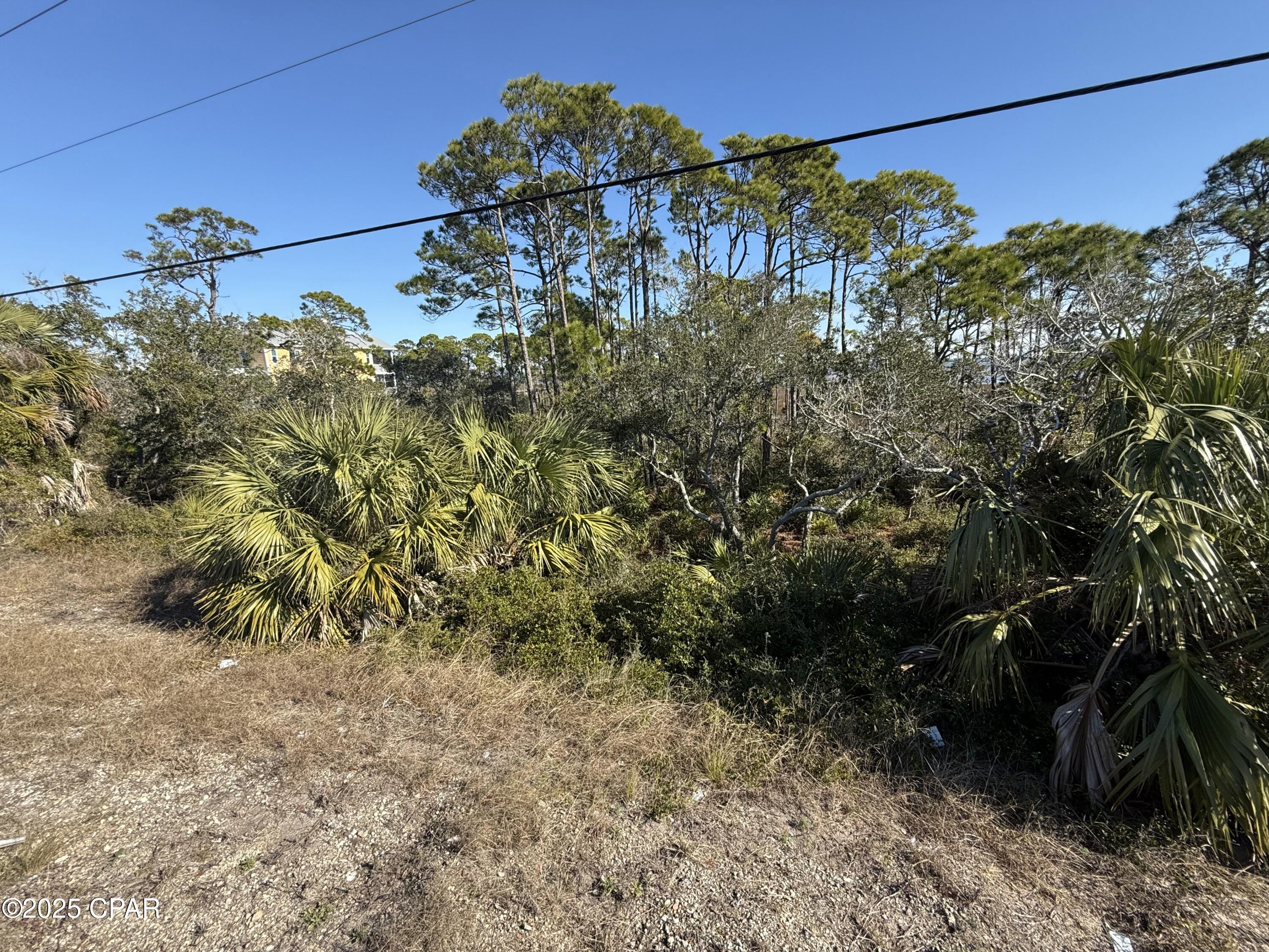 Image 11 For Lot 6 Cape San Blas Rd