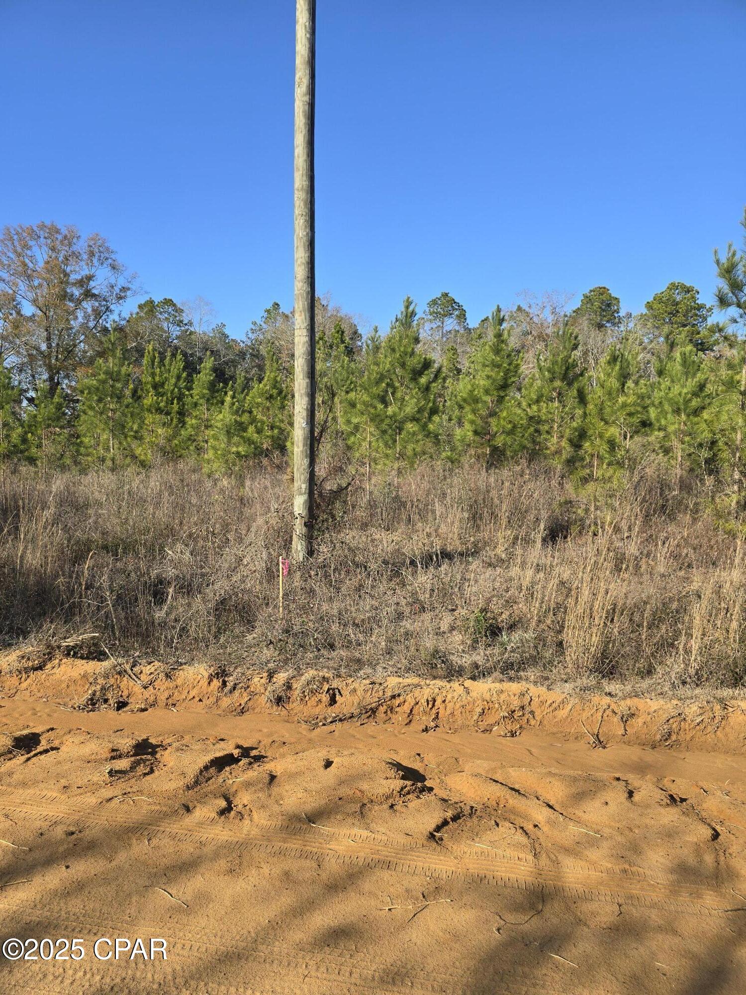 Yyxlprizzpknnh1kdol2nz2wit8rnjnlpkbepinlfey