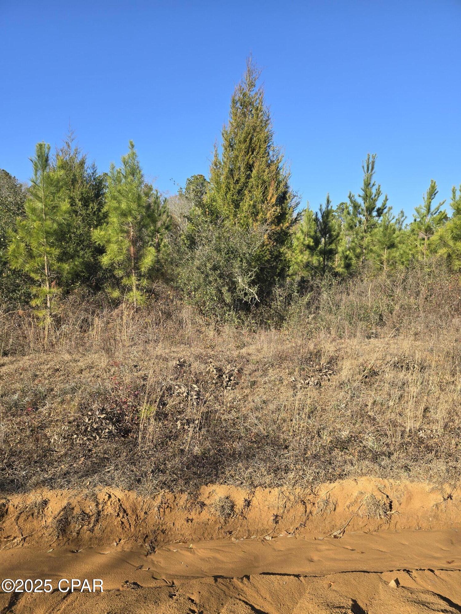 8e5sonsvx 5bmvw0lf1fd6tvxptewwbjk Z1dsaajxm