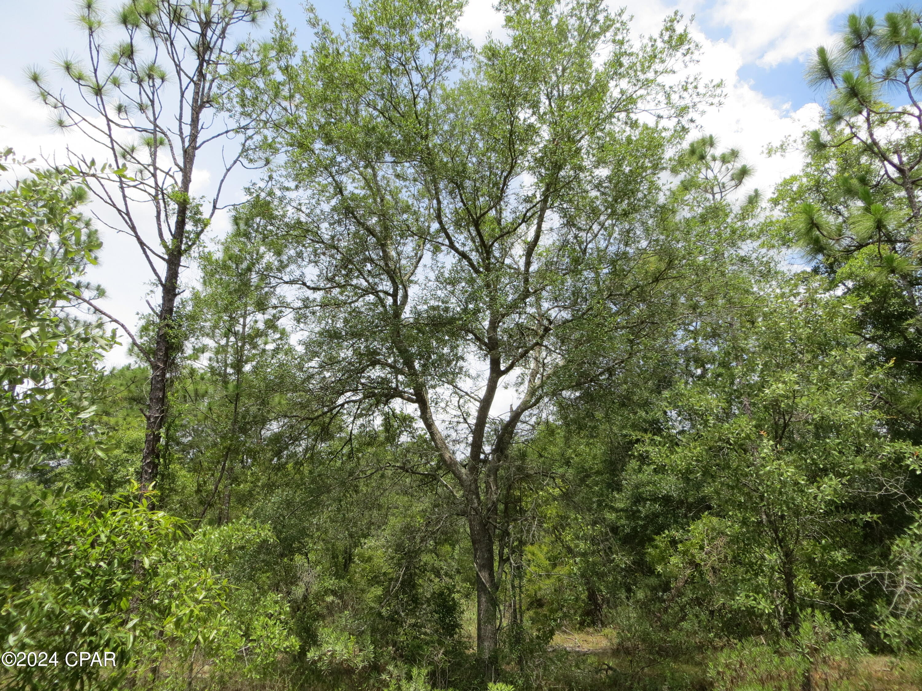 Dy68yi9zpnm5hjep9fpktfjrwulw_nl6egw_cx8dulu