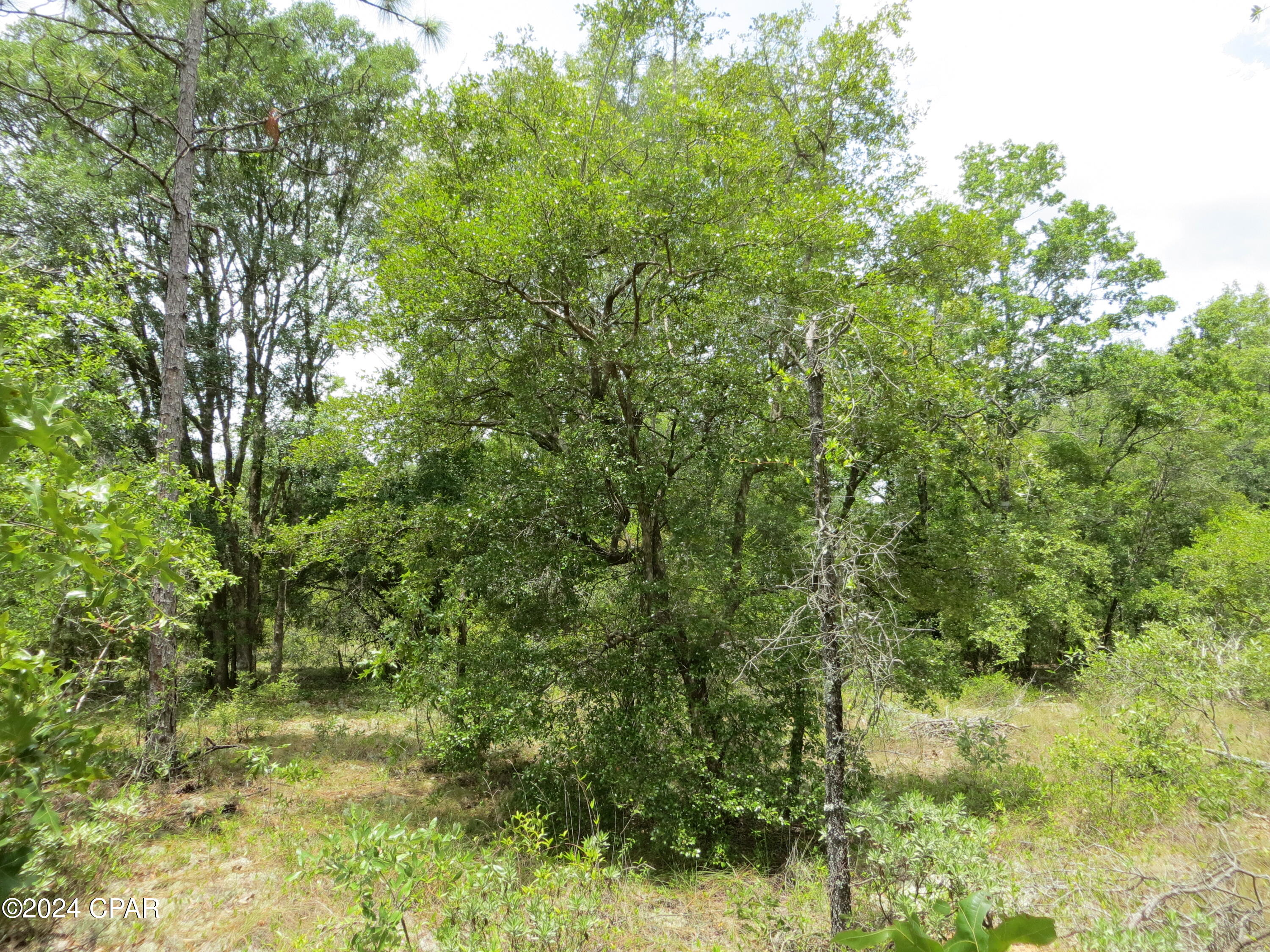 Fbkywtpe562pw1opiaqlb Dn1eilkyjecpcduqft888