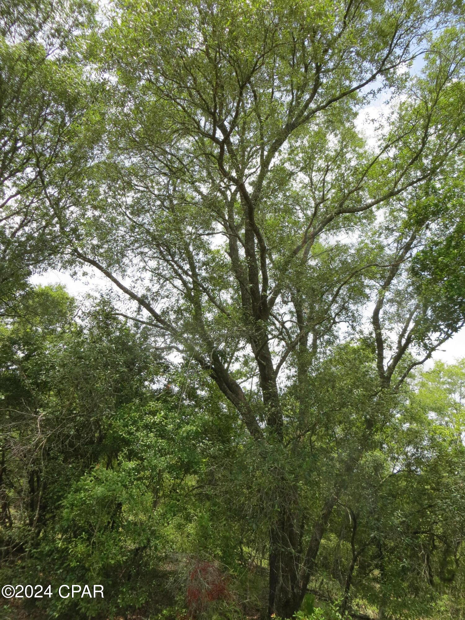 Tjzp Qvrnphekx2tm4koc9rcgqedip 3nkvx2bdooce