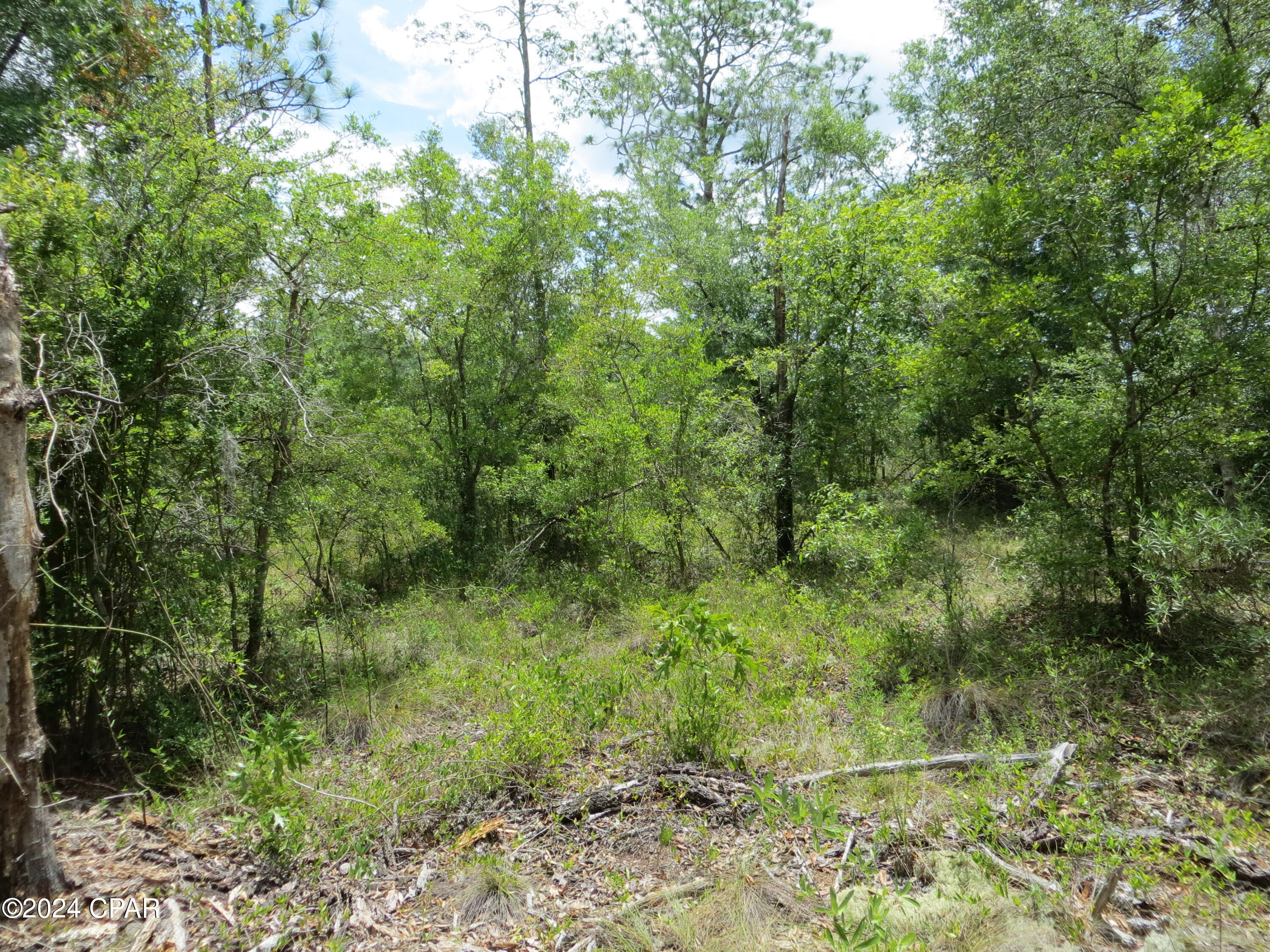 Fflwnhaidc98ofgs615ecjaufklmhbtsnvnlzsnut2m