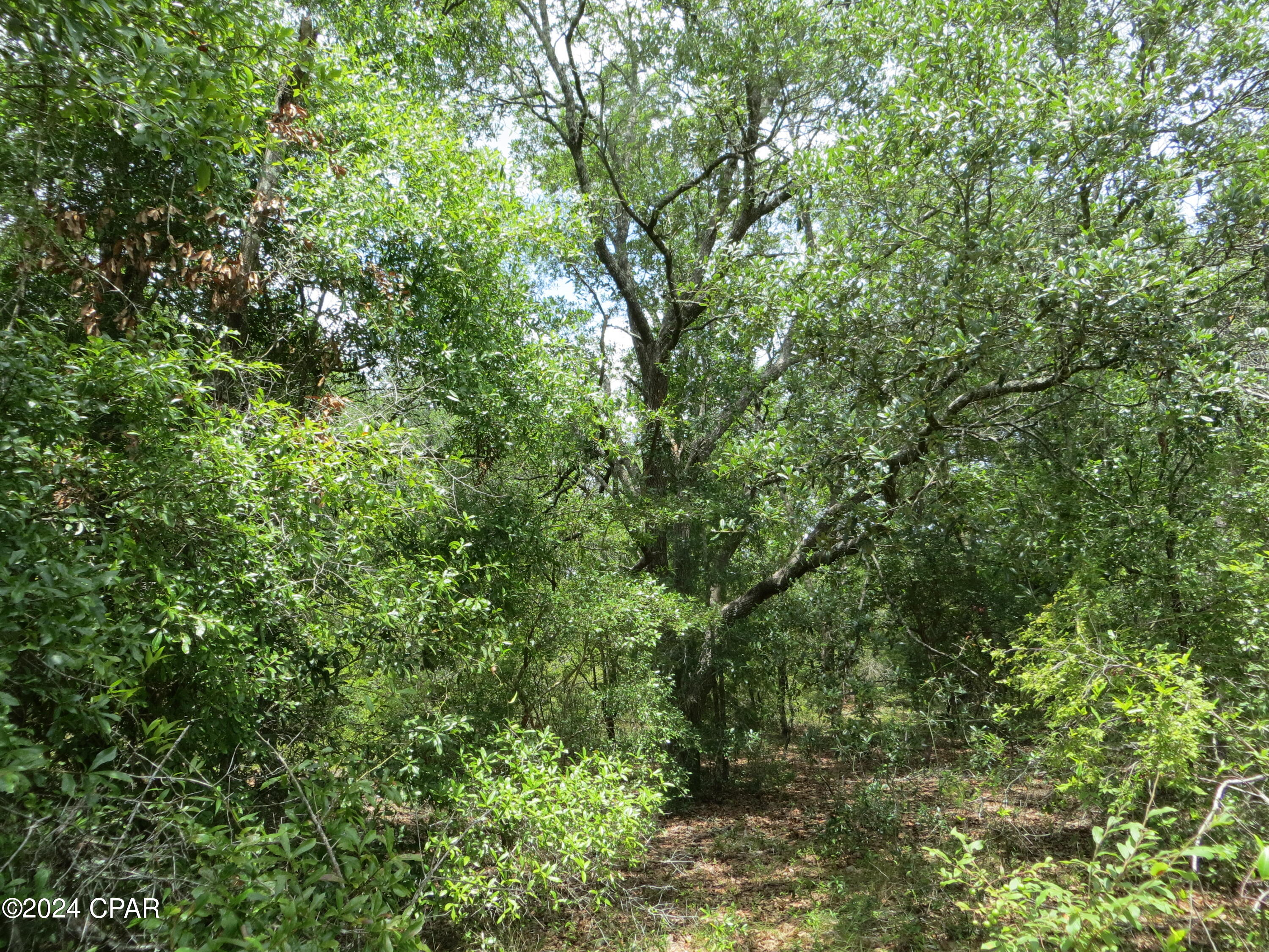 Kviaonwzjofsf8qgid9bsdcucvz4um9yoippbq8s68c