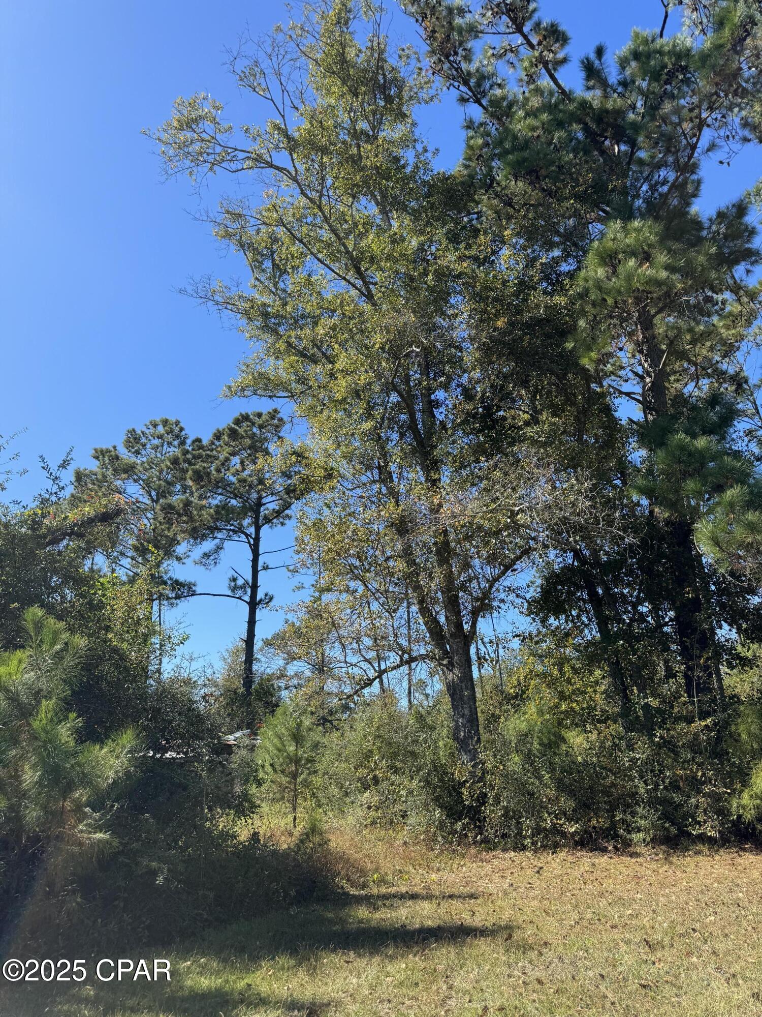 Quxi_pipvpw0qb3ckd0dnjztnpgcm_lds3dfivl8khq