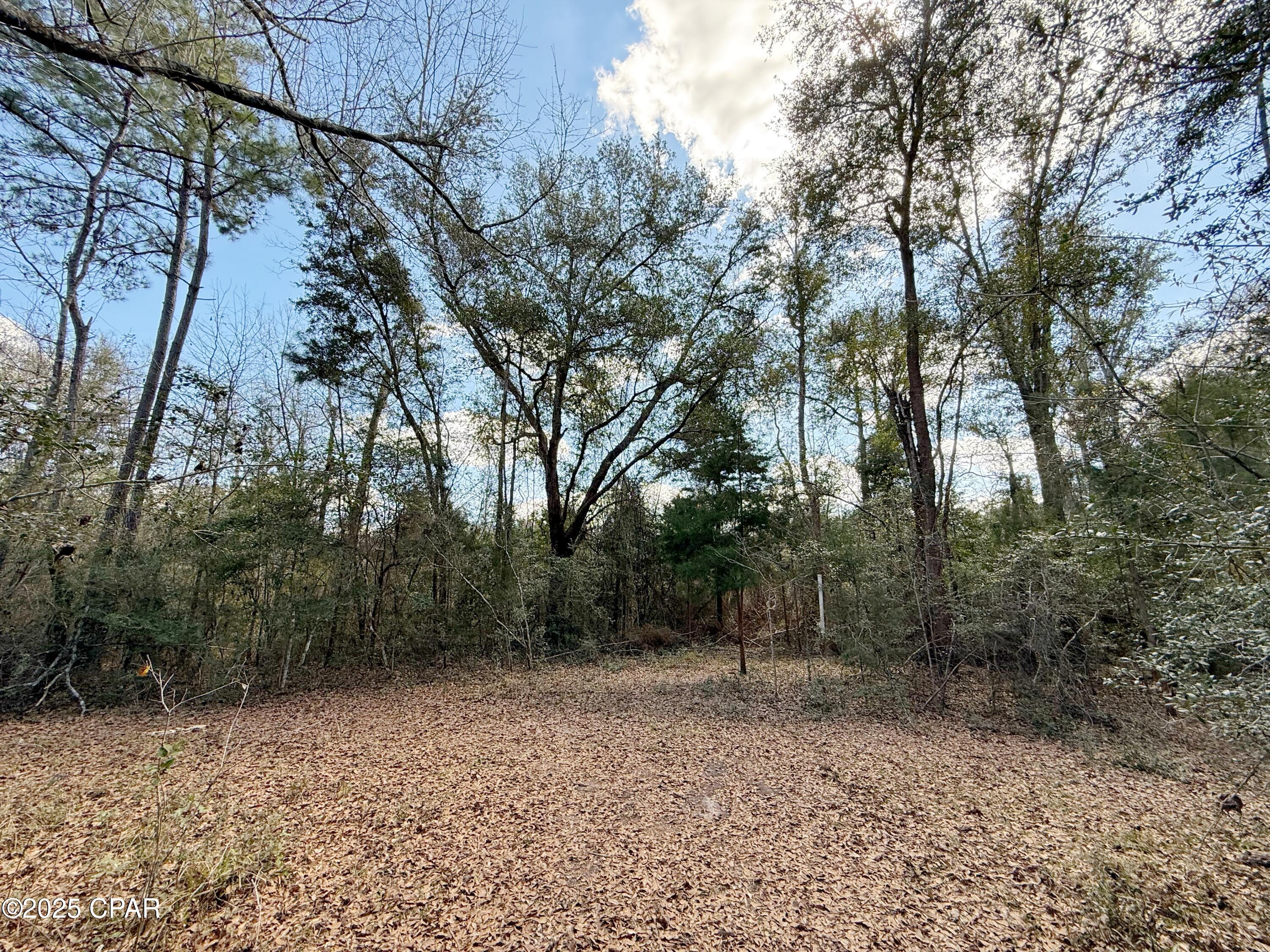 Lb00mcmktdirdxcklzimpmuk10ushcajfkfojiexh8u