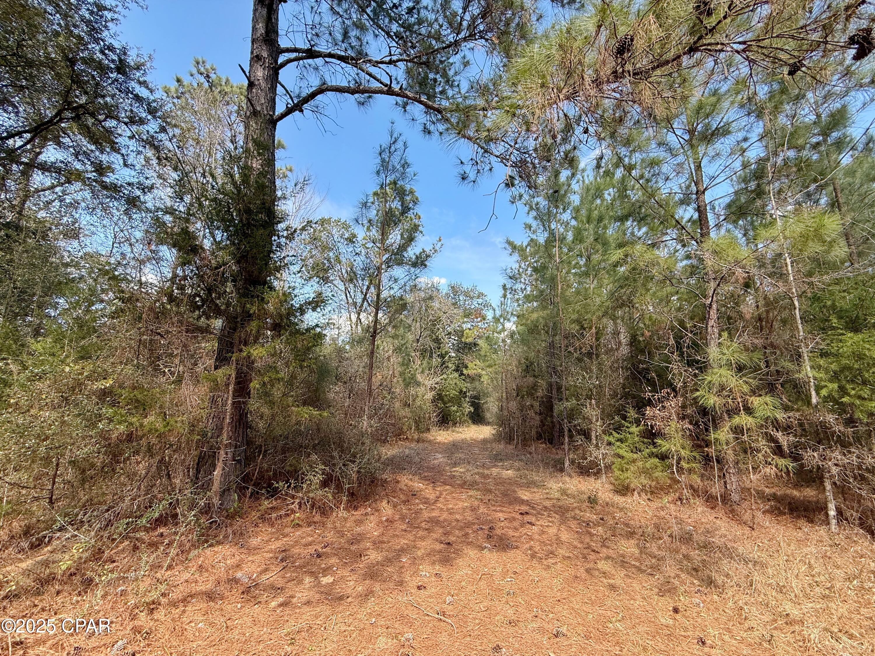 Z0n_qsikqpp Z6y2m1qqq5pz6przecq6uwyaeawgys8