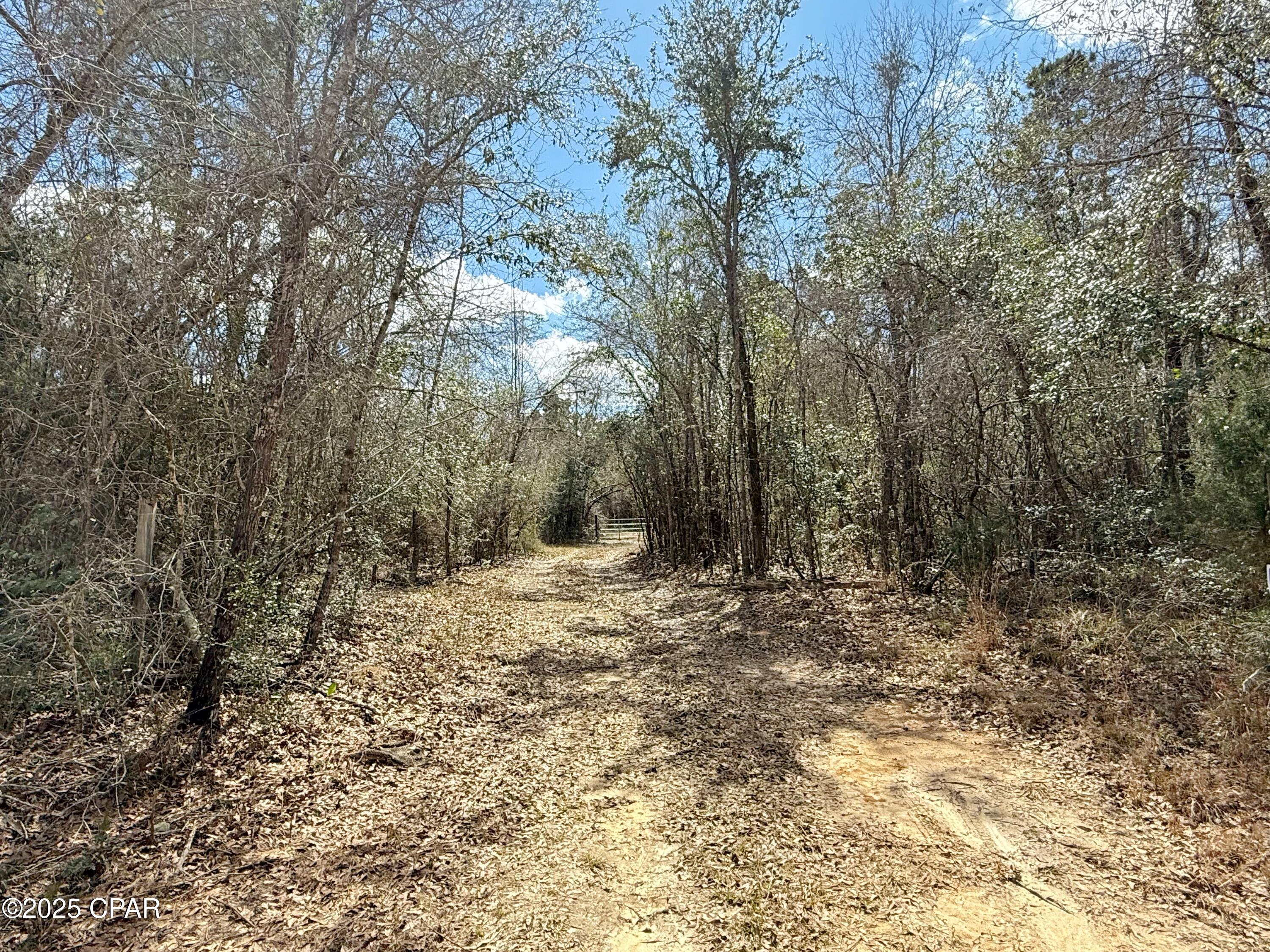 Image 4 For 00 Lovewood Road