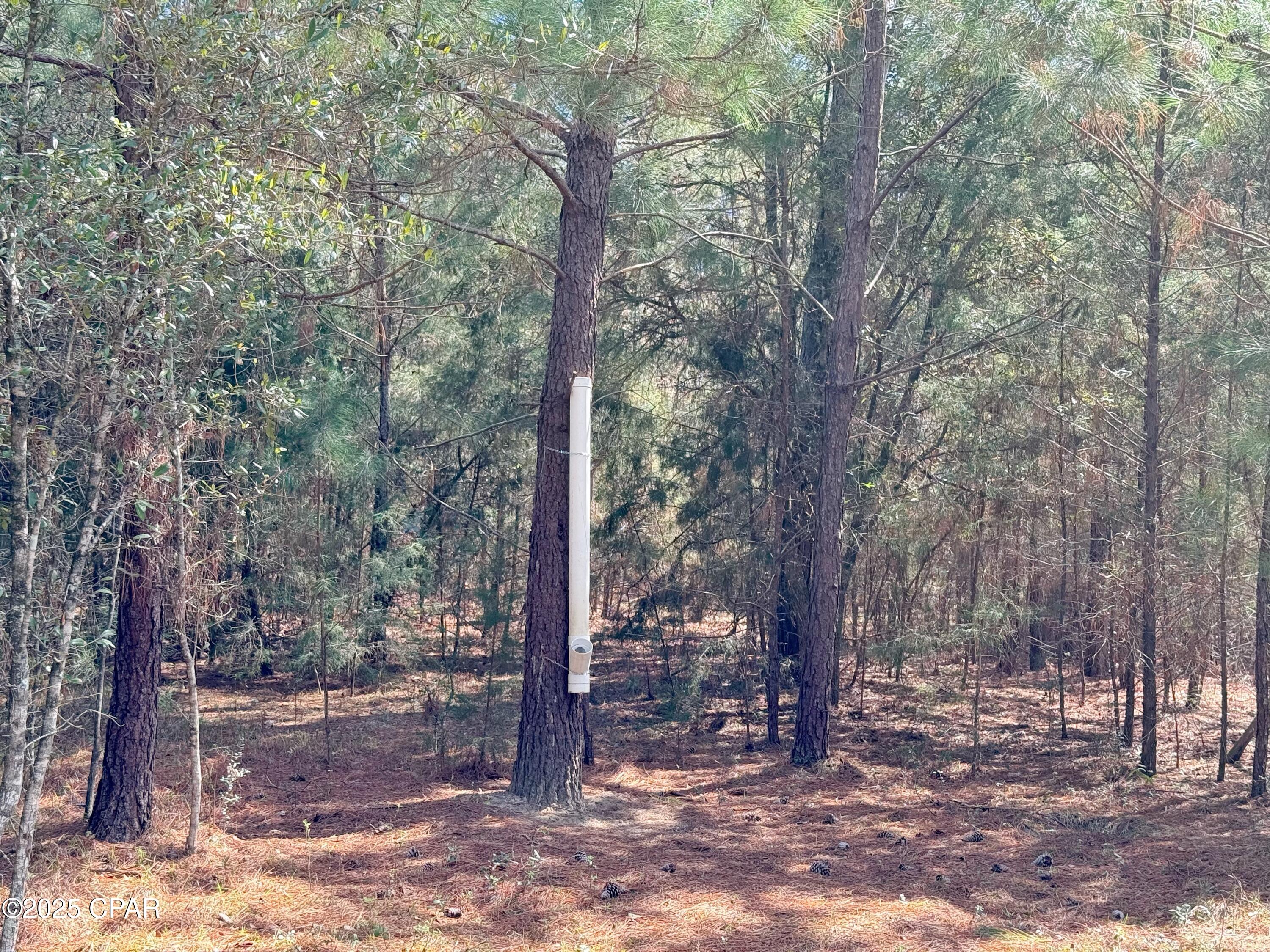 Bphgwvslpjlmf3a4lttkz00eokf3hp6vuotmkha6nna