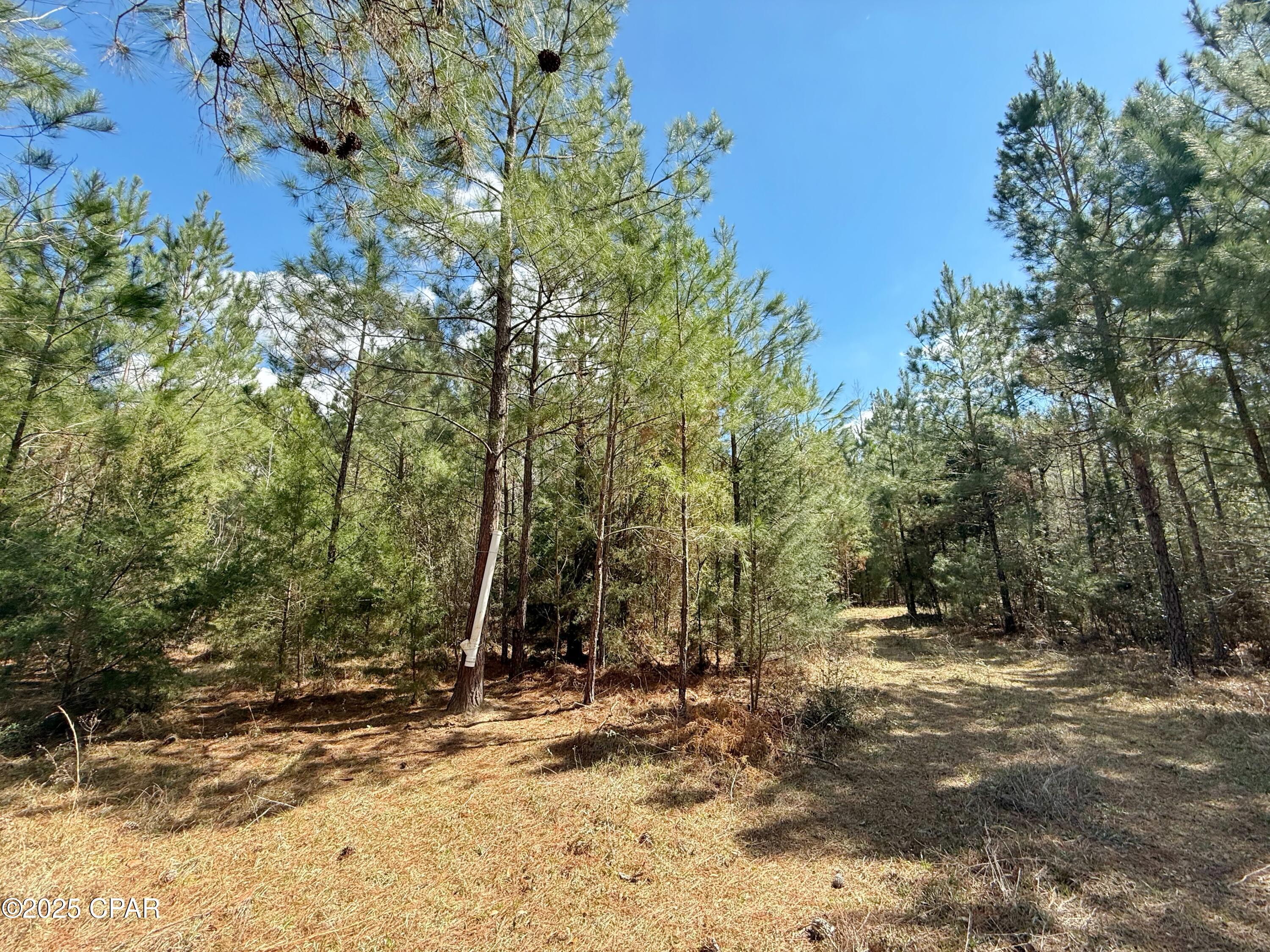 Rxdivellskm1kbyihobagipdwzg3jykug2ur25kzt7g