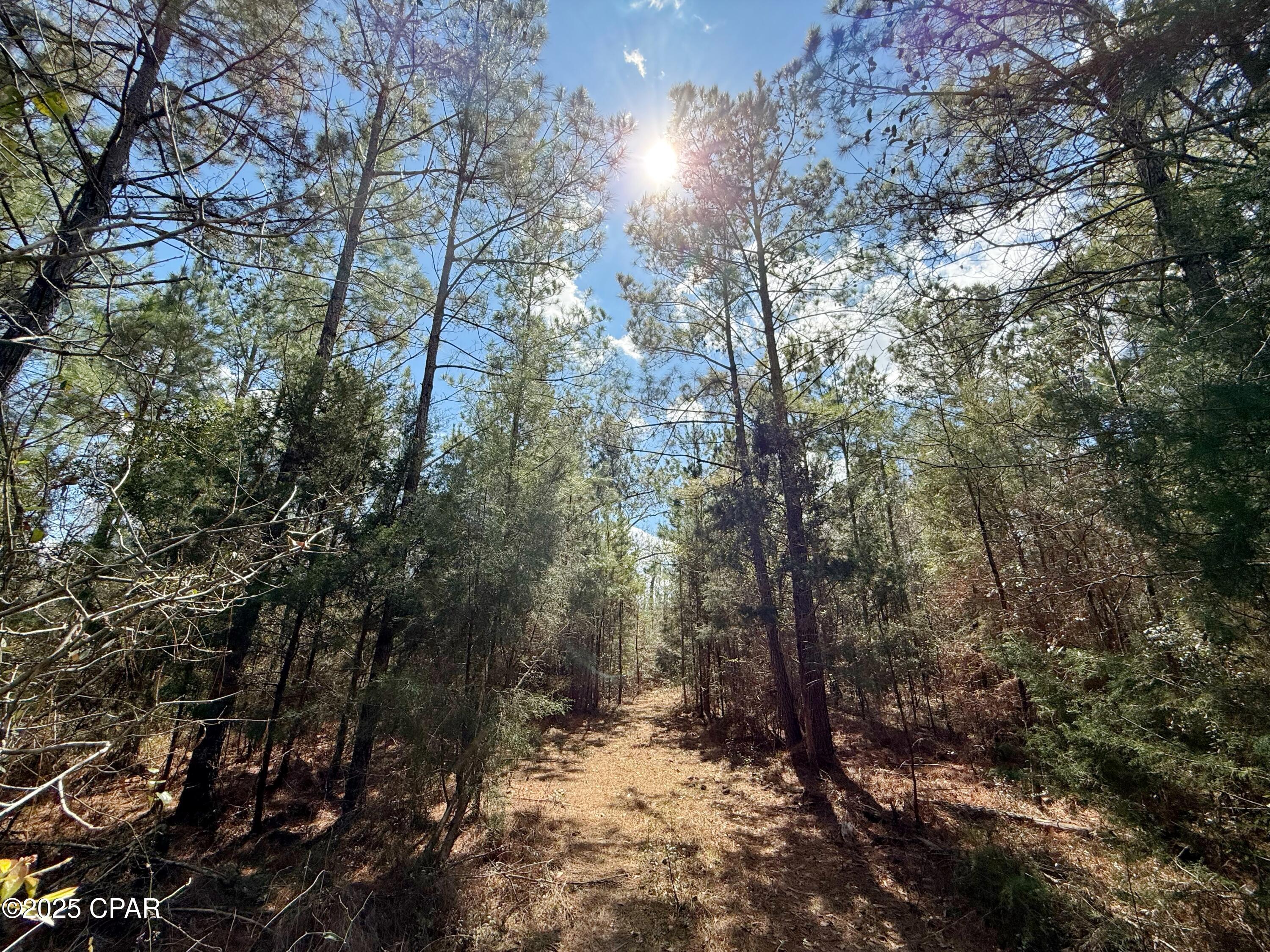 Z3vgbhkacxwocbh_r9xgv7j6qrcabhx8kh6xrm7e Vs