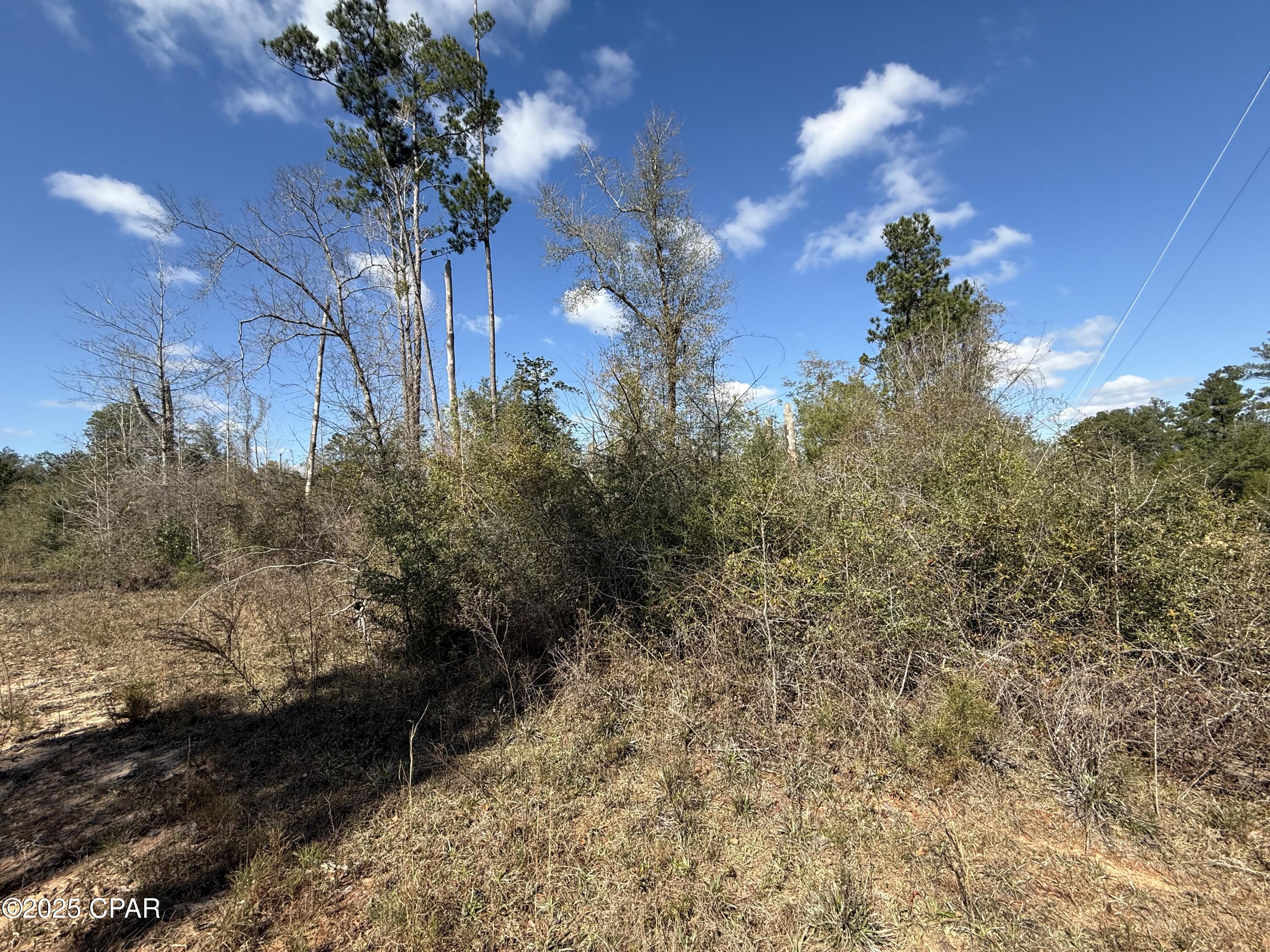 Details for 00 Tanager Court, Marianna, FL 32448