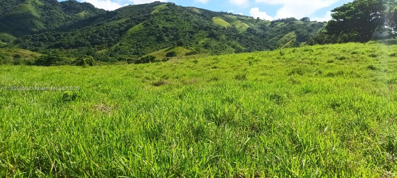 listing main picture