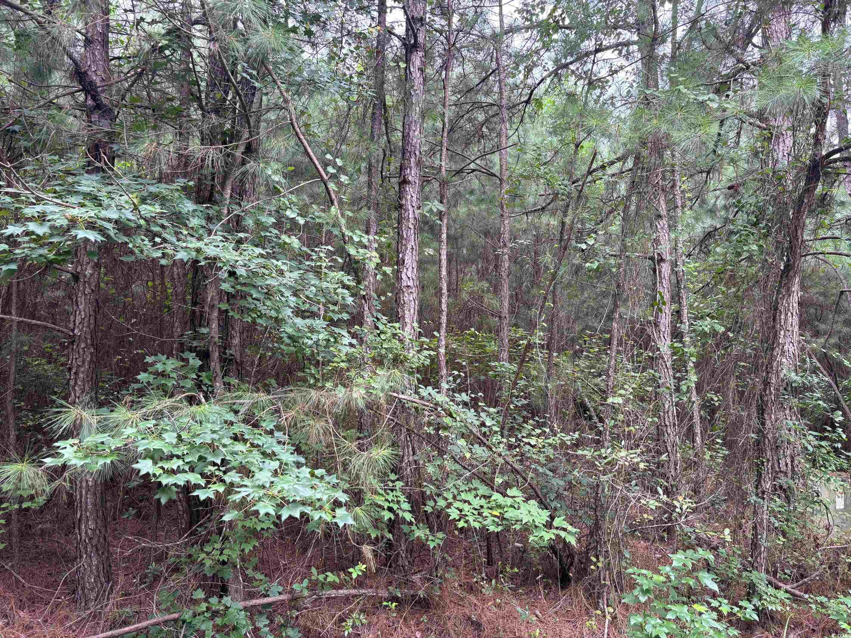 Lot 5-D McGregor St. Lake City, SC 29560