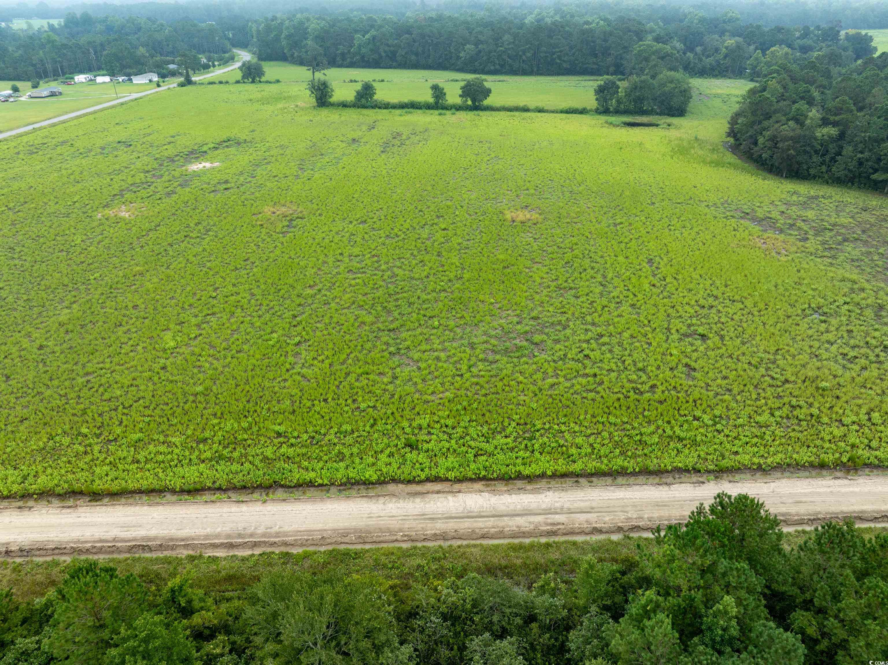 TBD LOT 4 Tansy Rd. Loris, SC 29569