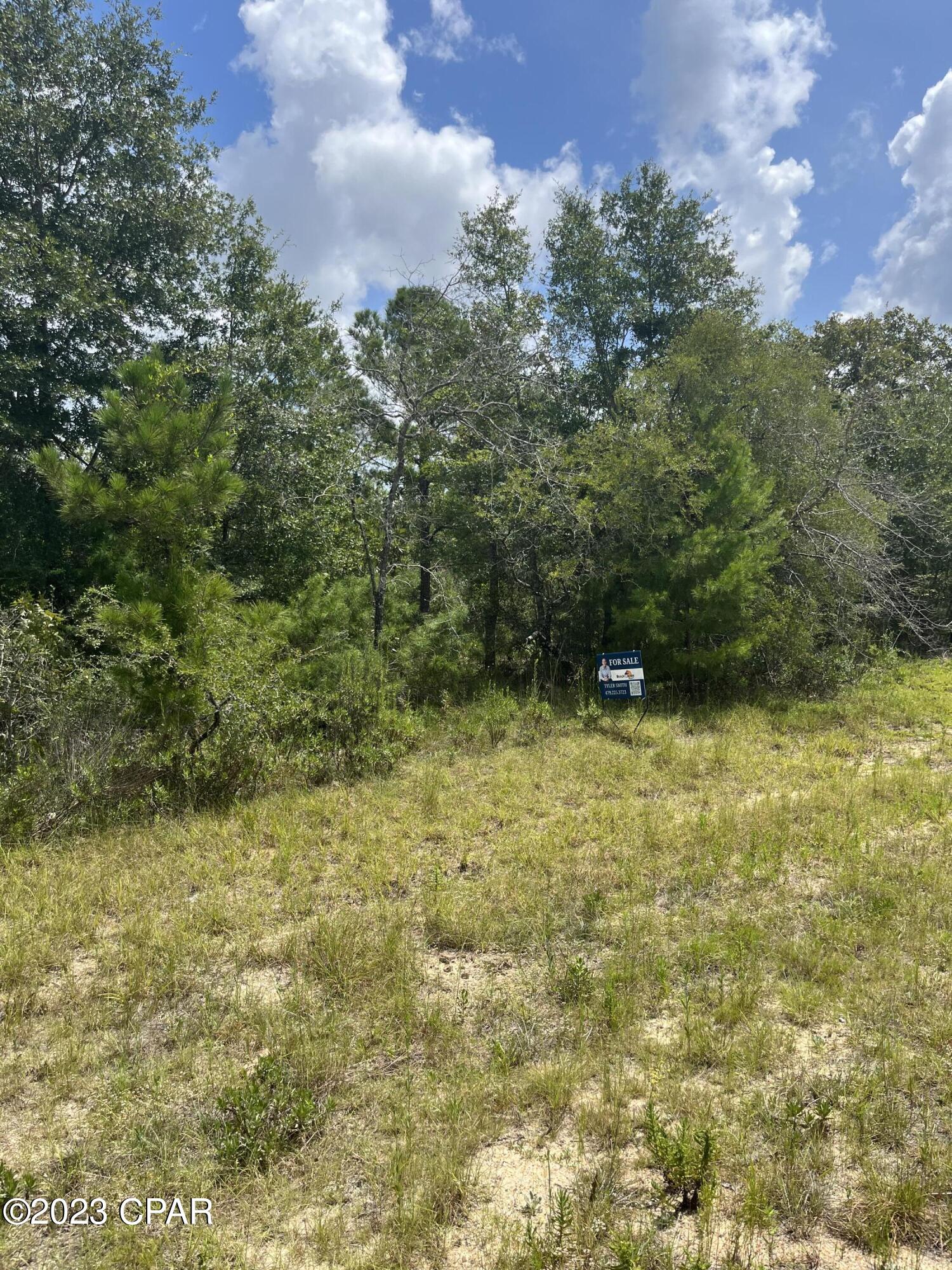 Image 4 For Lot 16 Ardenwood Drive