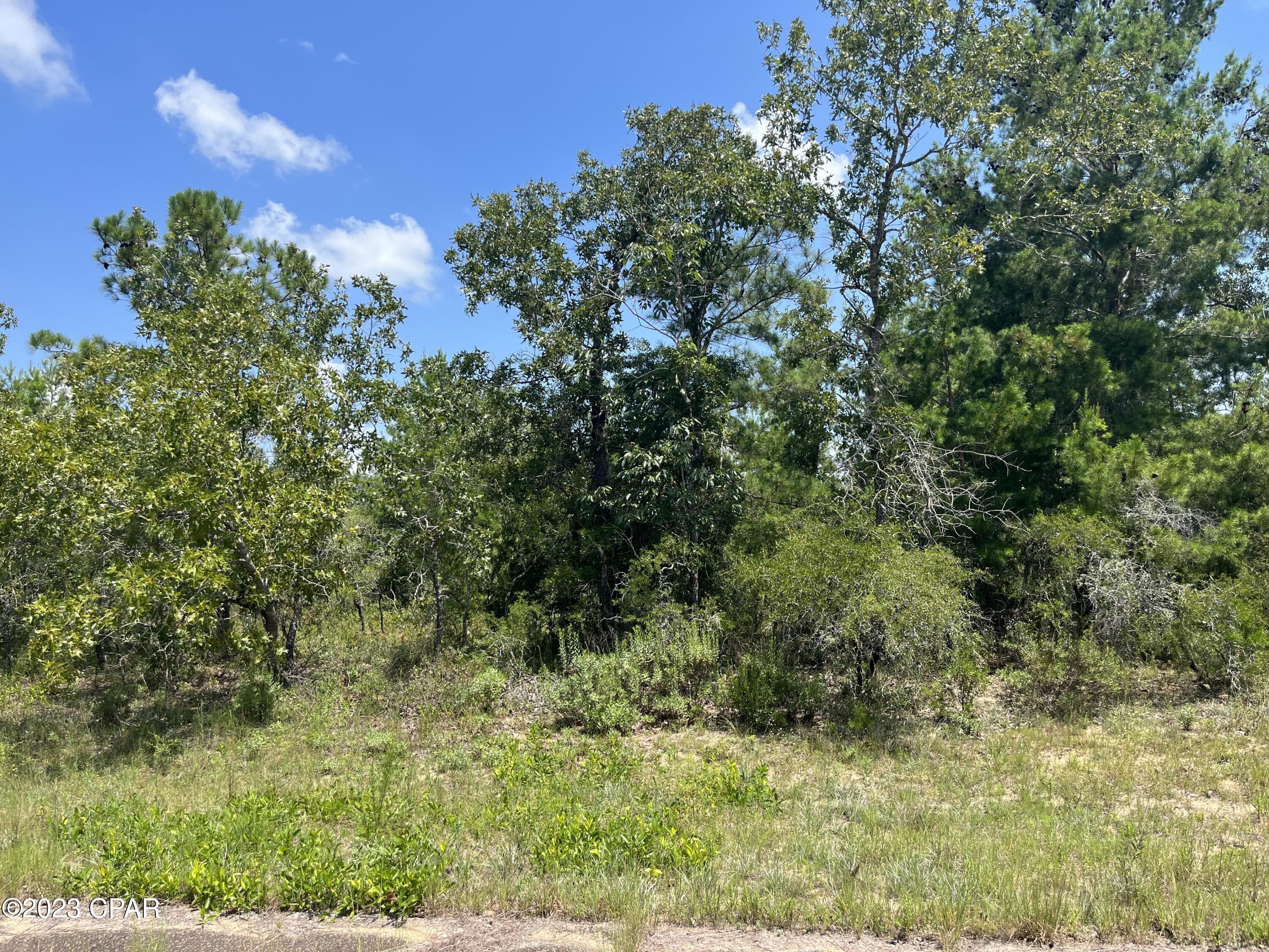 Details for Lot 8 Confetti Lane, Chipley, FL 32428